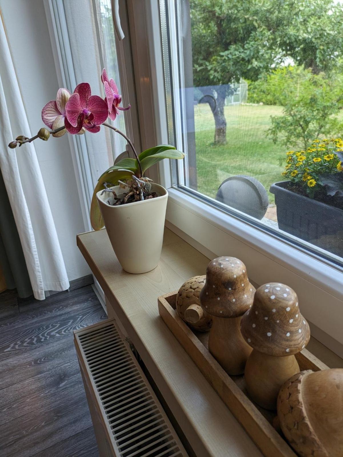 Idyll Im Land Der 1000 Seen Appartement Liessow (Ludwigslust-Parchim)